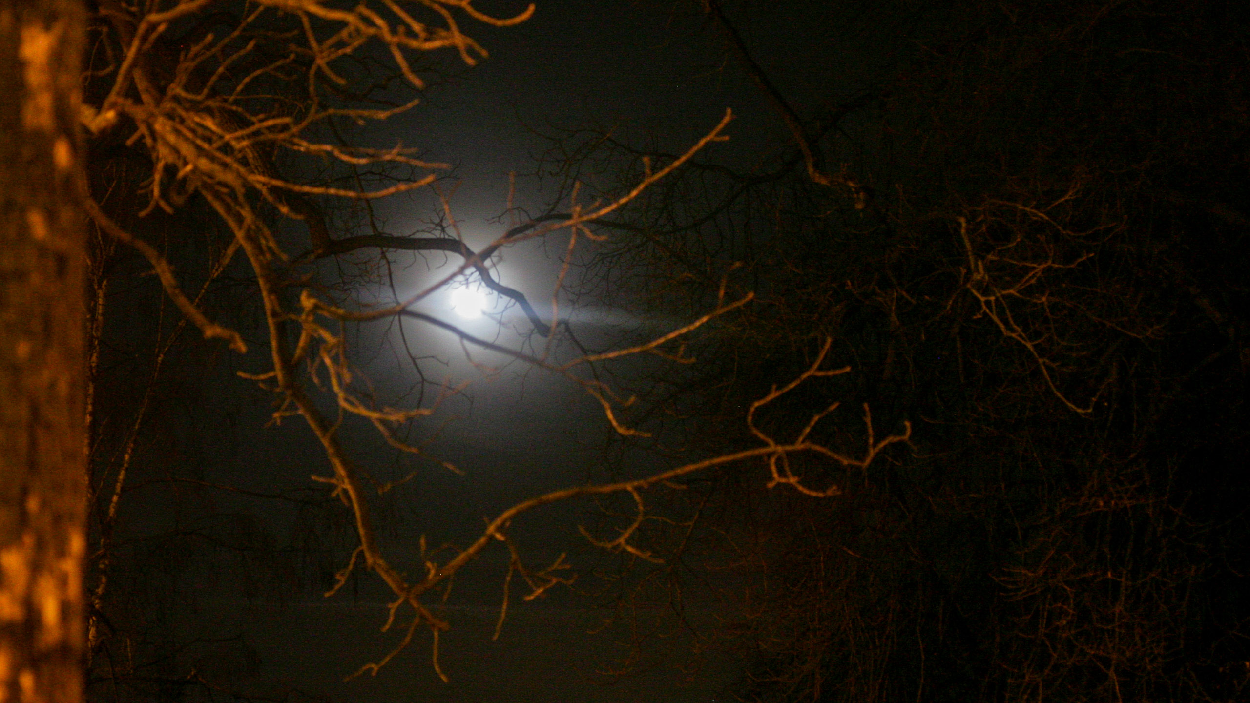 20080223231217 IMG 2712